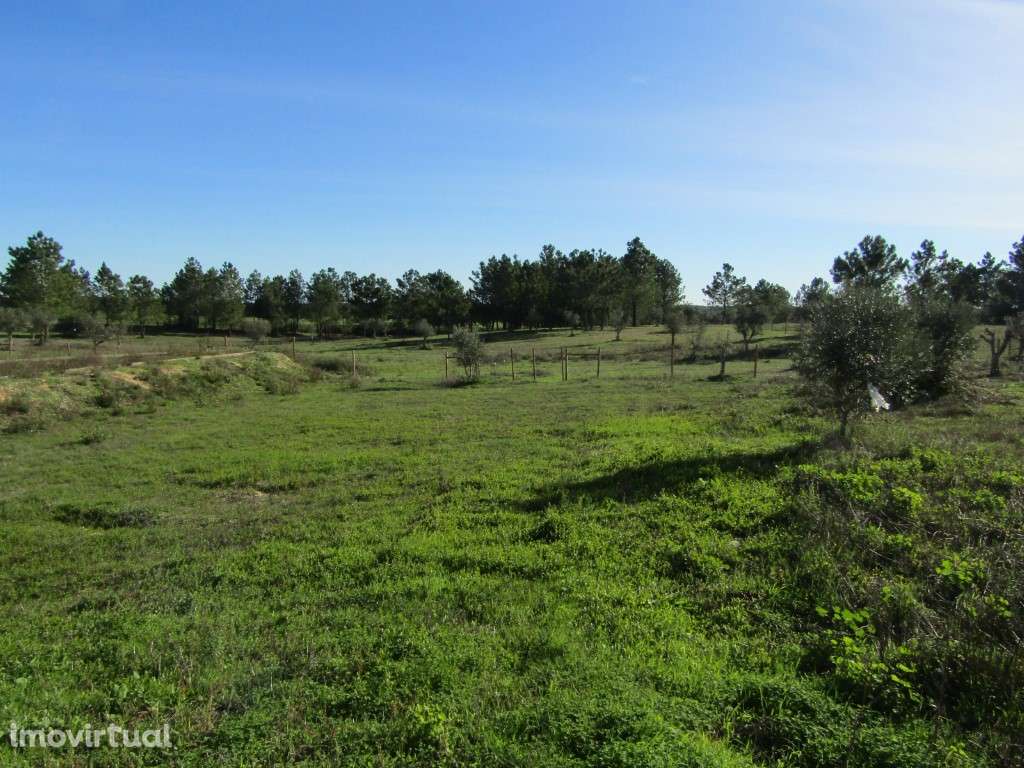 Lotes para Construção - preço por lote: 32 500 € - Grande imagem: 3/14