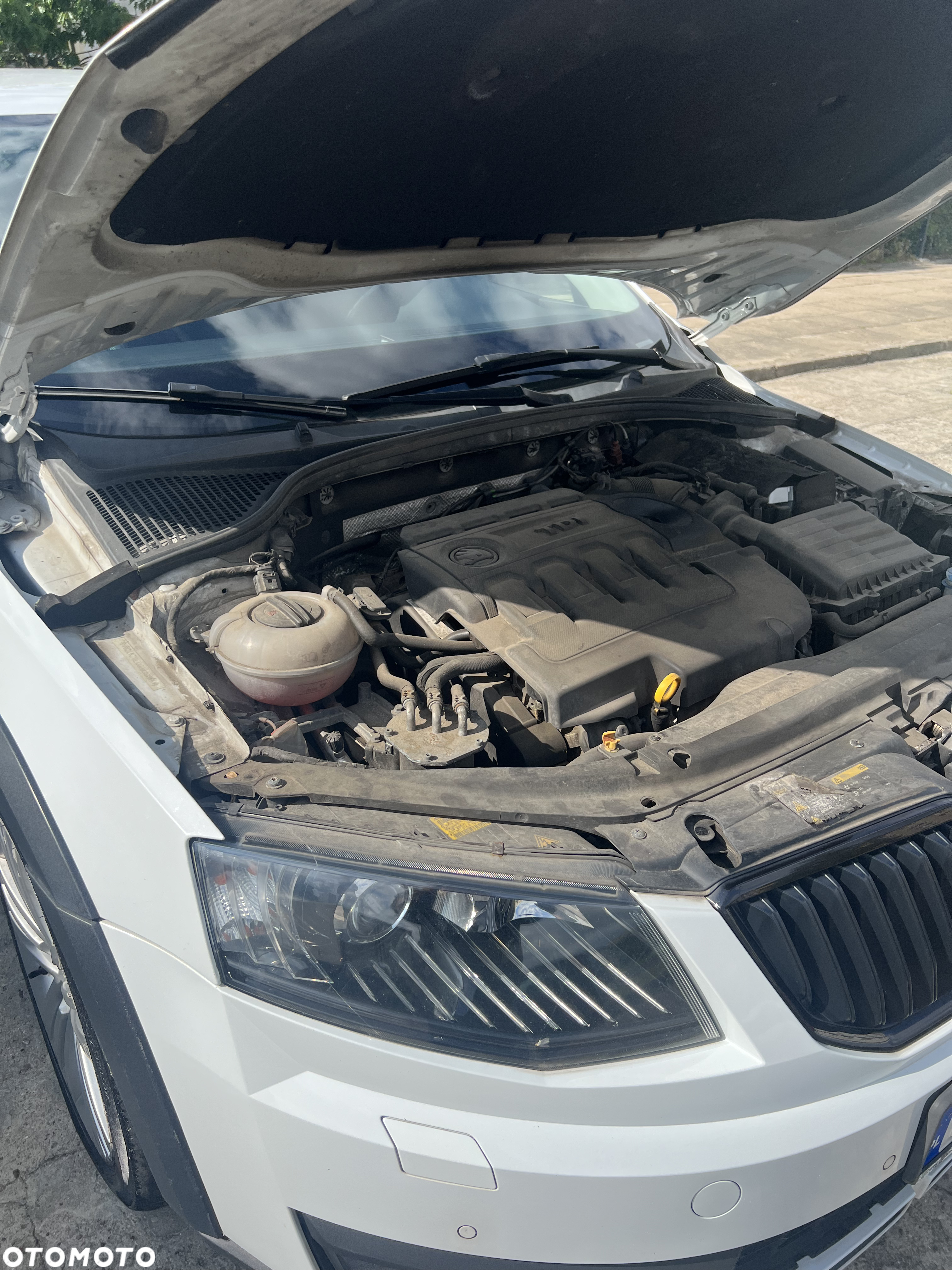 Skoda Octavia Scout 2.0 TDI 4x4 DSG - 39