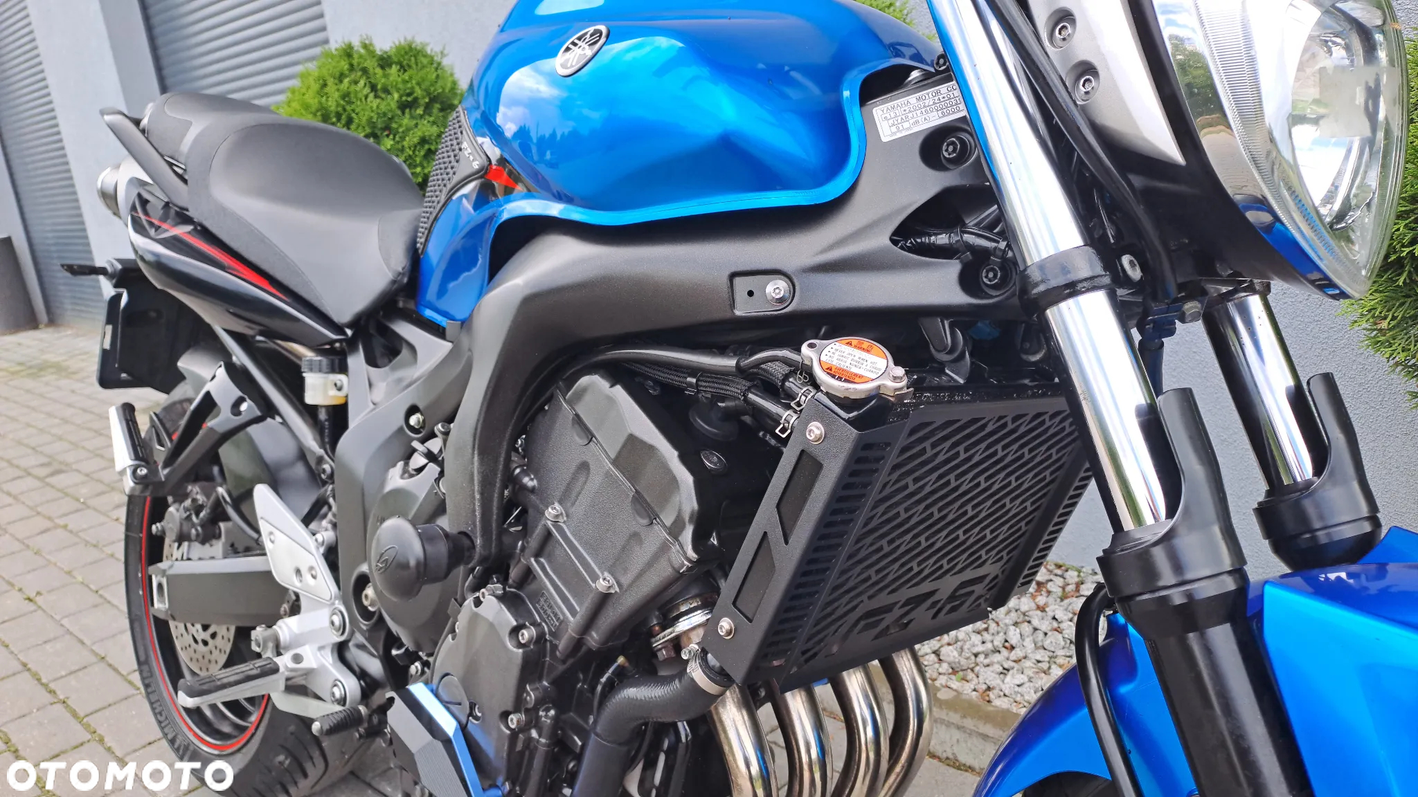 Yamaha FZ6 - 7