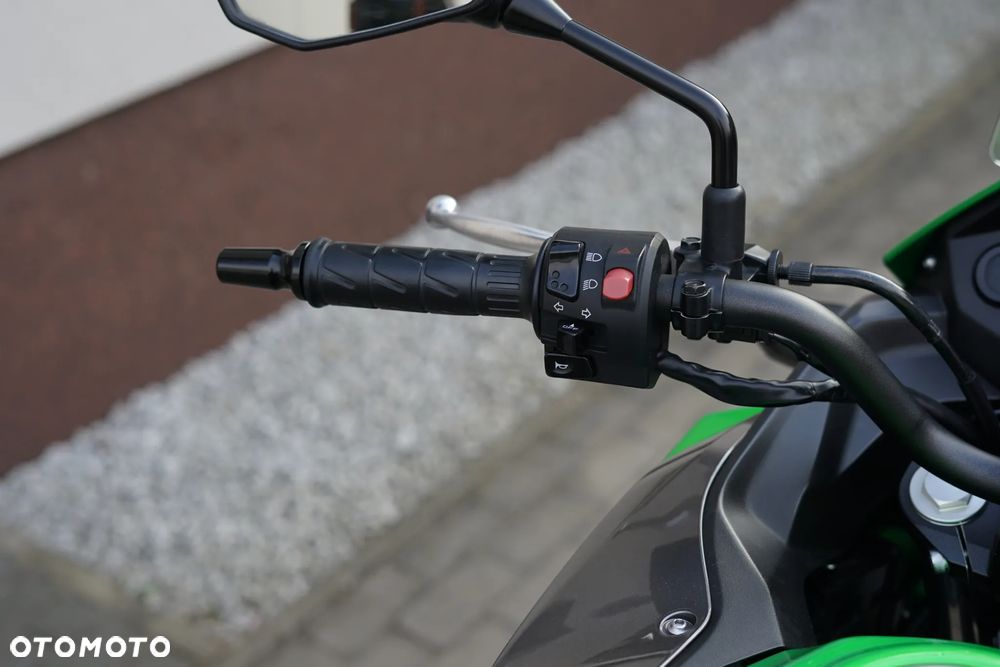 Kawasaki Versys-X 300 - 18