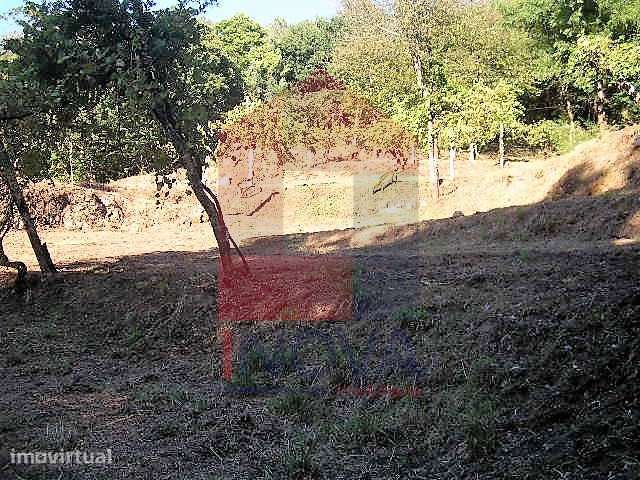 Terreno Florestal em Covas - Grande imagem: 3/17