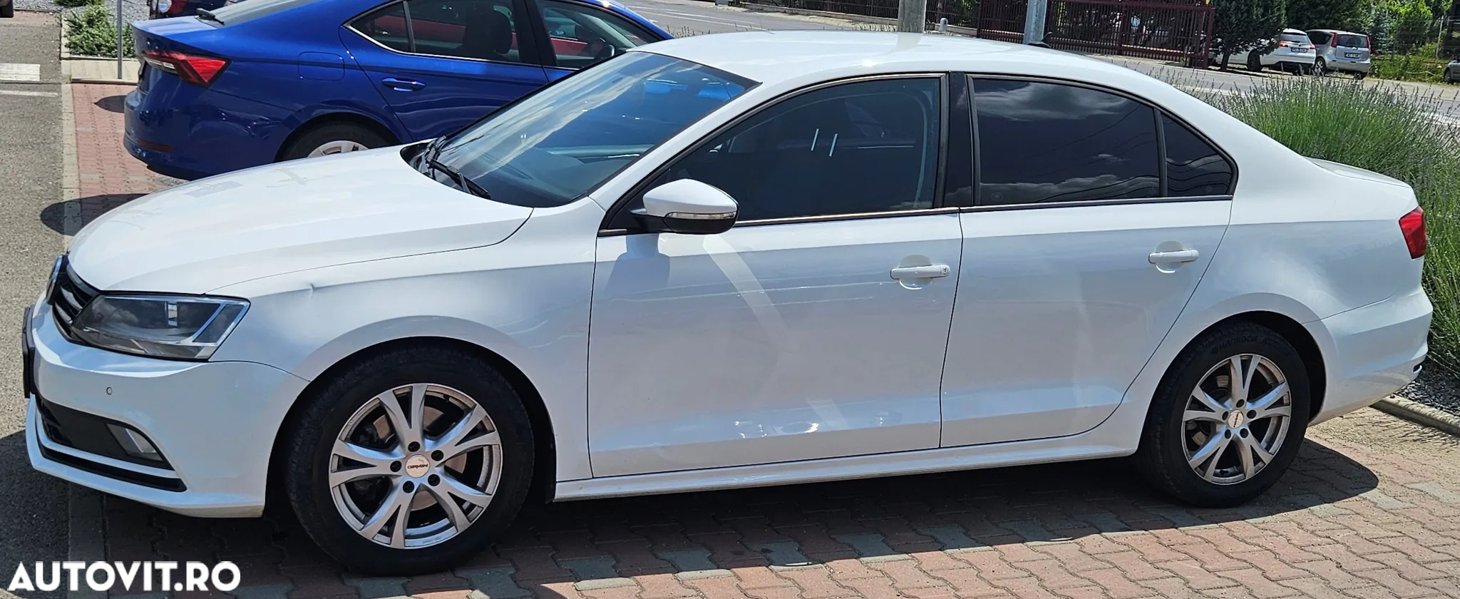 Volkswagen Jetta - 8