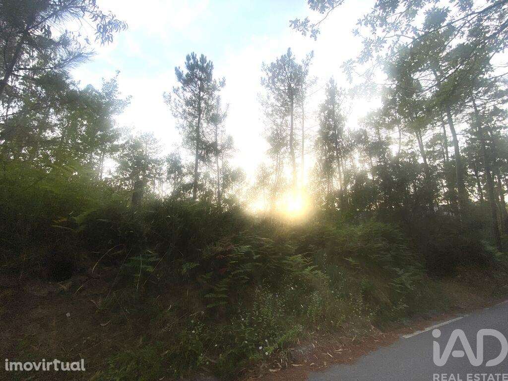 Terreno Agrícola em Sapardos de 660,00 m2 - Grande imagem: 4/7