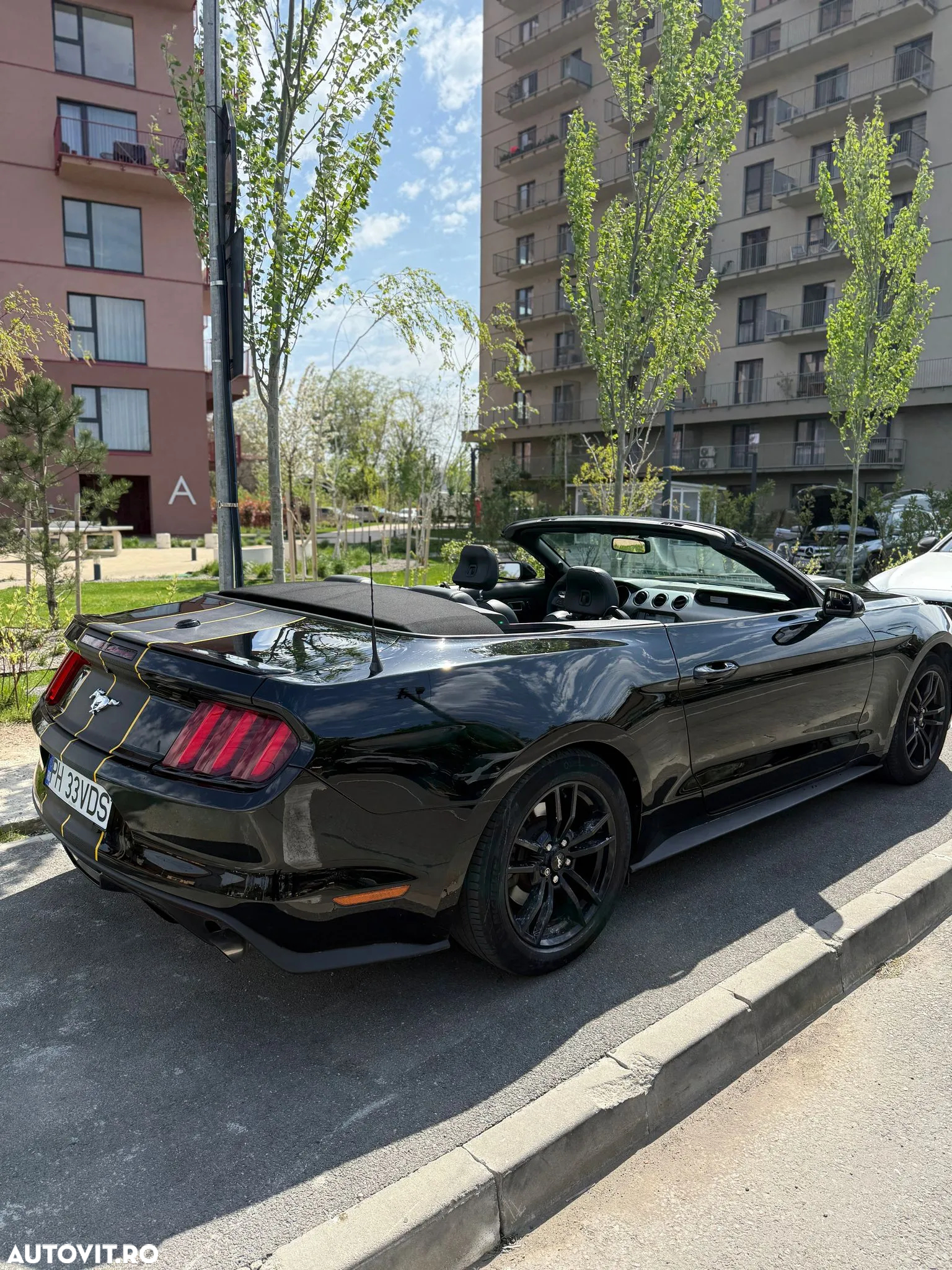 Ford Mustang Cabrio 2.3 Eco Boost - 16