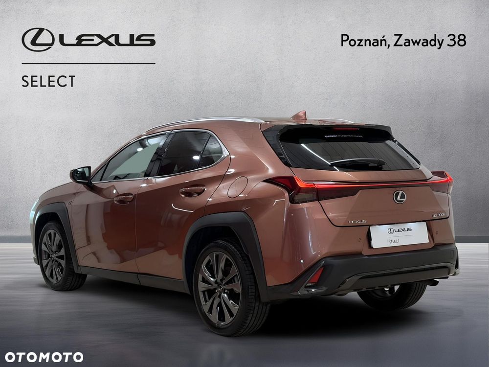 Lexus UX 300h F Sport Design - 9