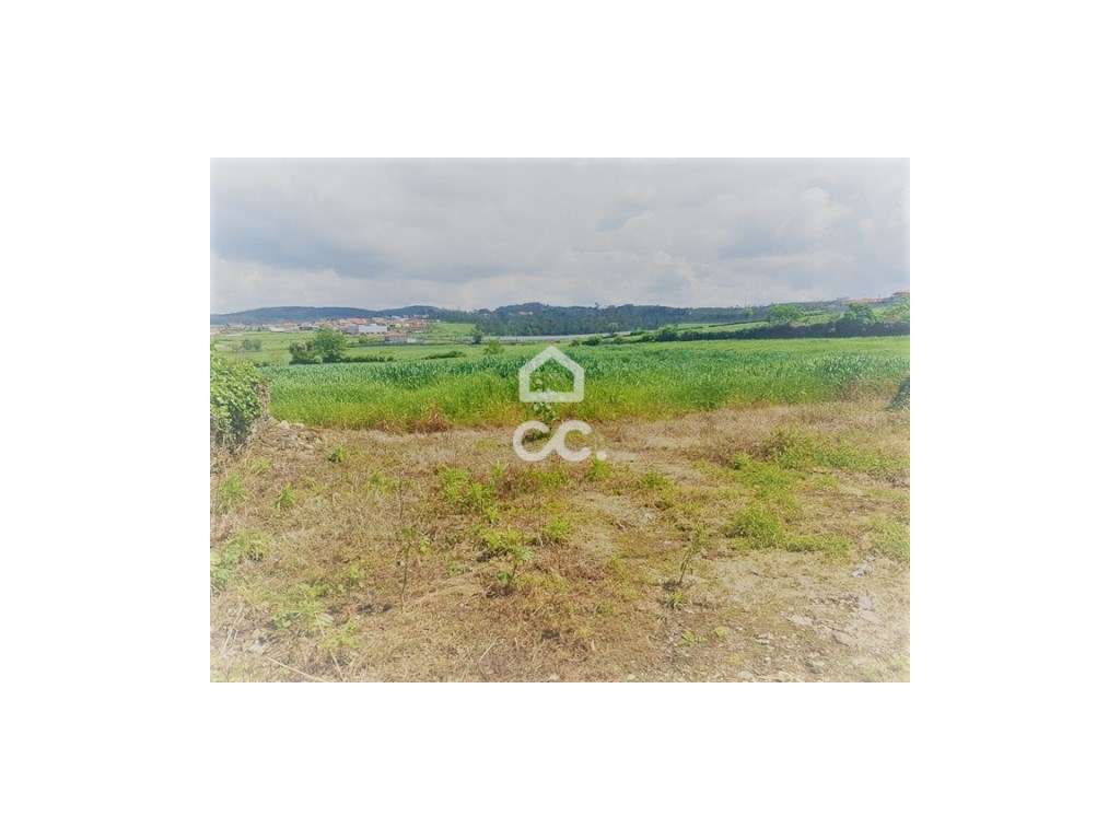 Terreno em Balazar - Grande imagem: 4/11