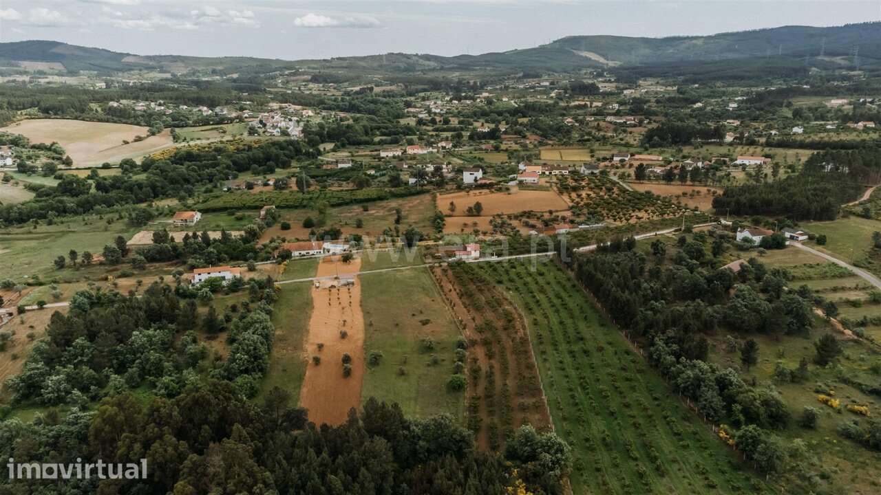 Quintinha T2 / Fundão, Enxames - Grande imagem: 4/20