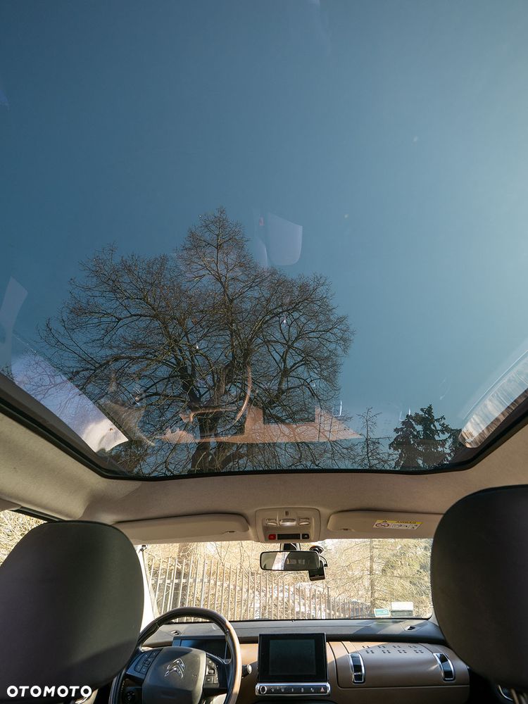 Citroën C4 Cactus 1.2 PureTech Shine S&S - 13