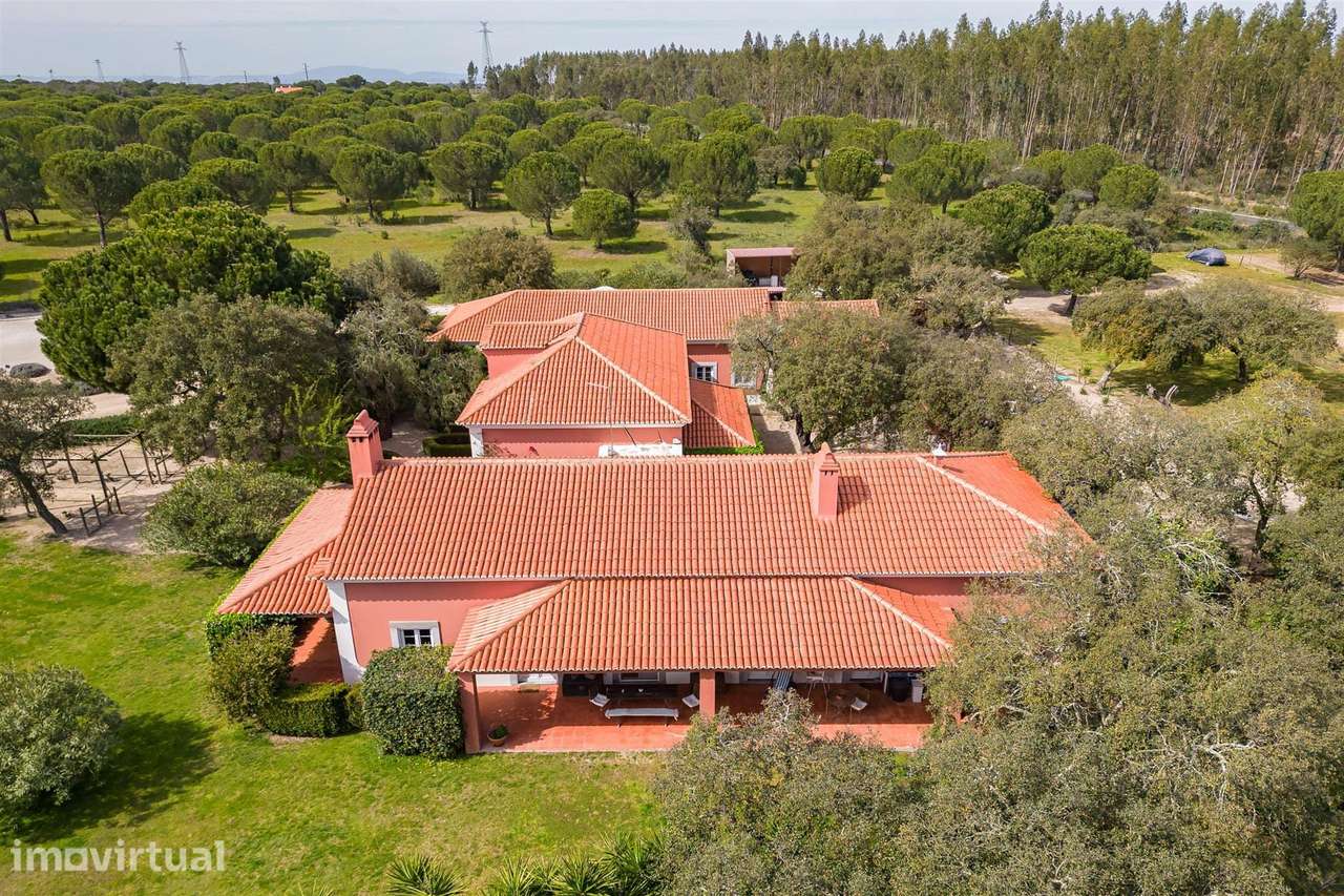 Quinta de Charme no Ribatejo - Grande imagem: 5/11