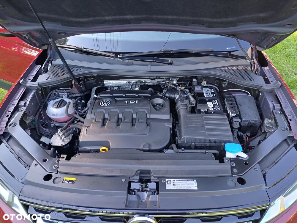 Volkswagen Tiguan - 25