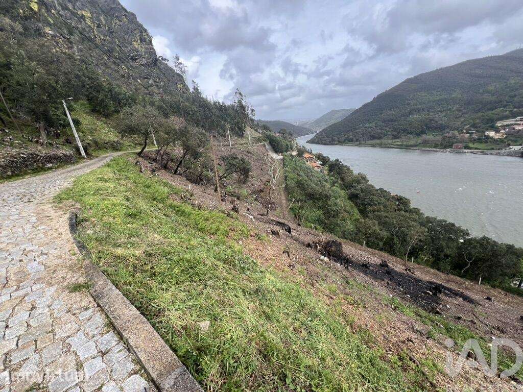 Terreno em Sebolido - Grande imagem: 3/12