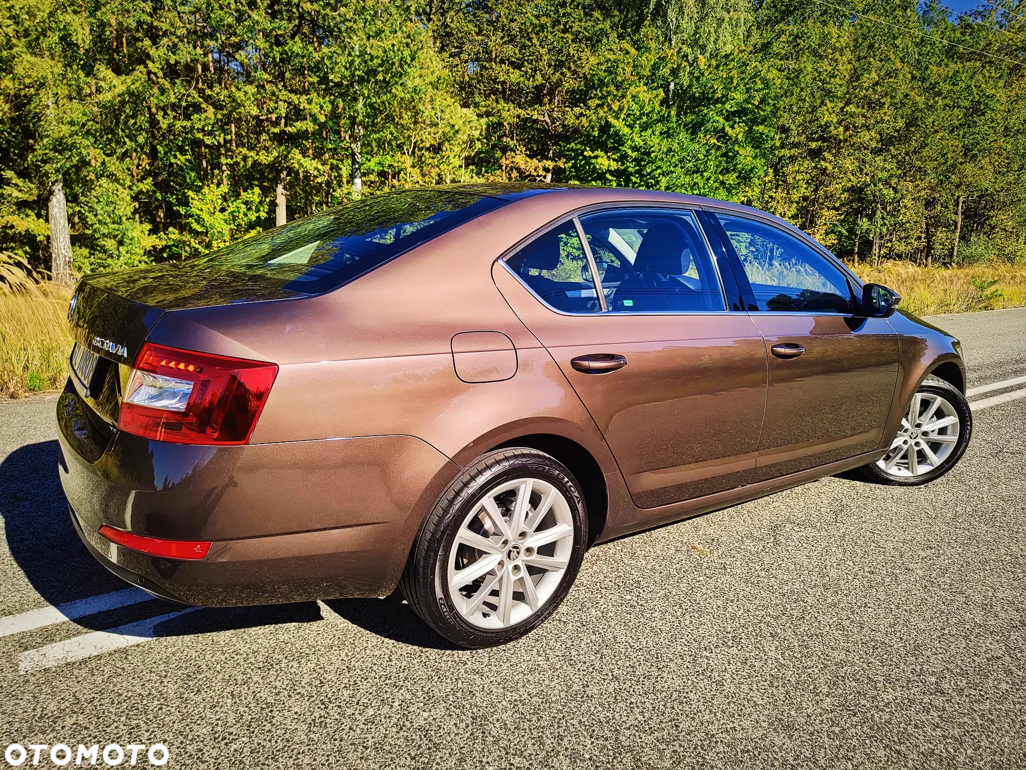 Skoda Octavia 1.4 TSI Elegance - 11