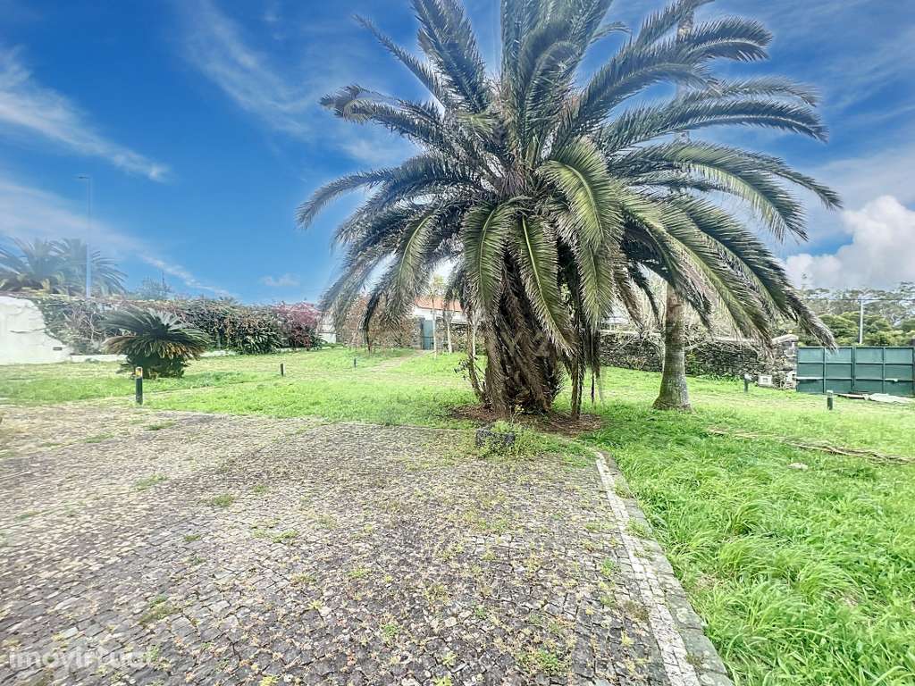 Vivenda T6 no Livramento – Piscina, Campo de Futebol e Zona Exclusiva! - Grande imagem: 3/45