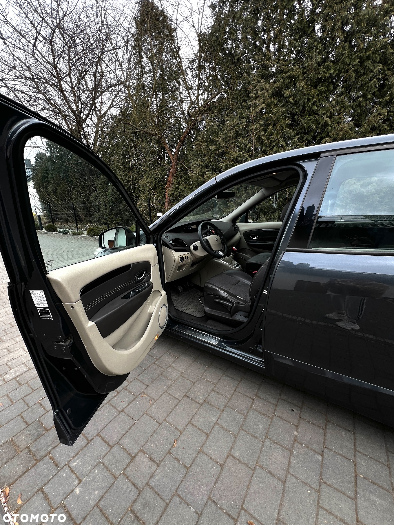 Renault Scenic - 15