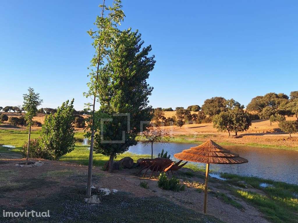 Casa tradicional Alentejana T2 recuperada - Grande imagem: 5/32