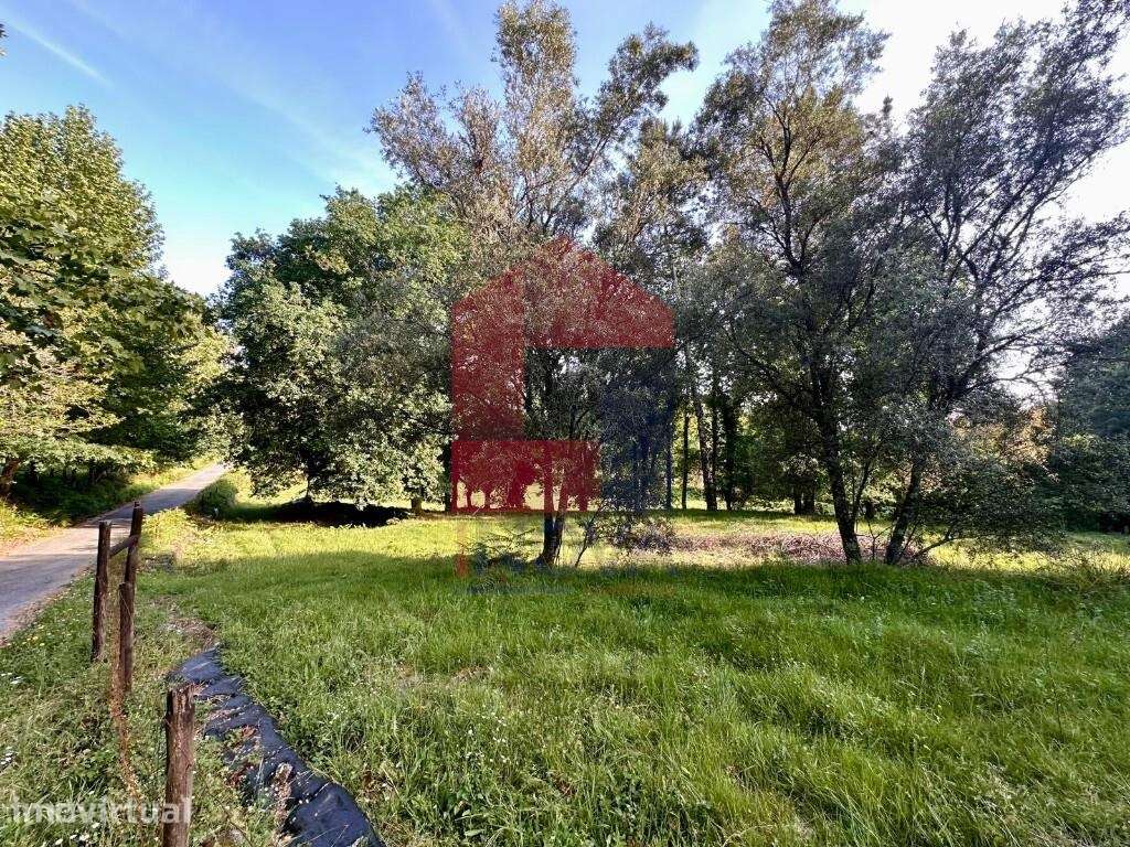 Terreno Agrícola, Oriz Santa Marinha - Grande imagem: 3/24
