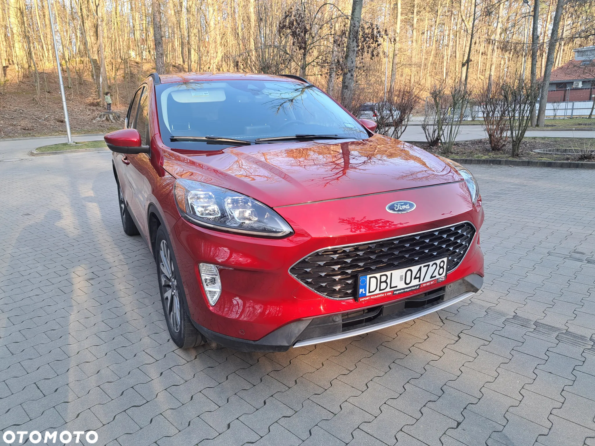 Ford Escape - 4
