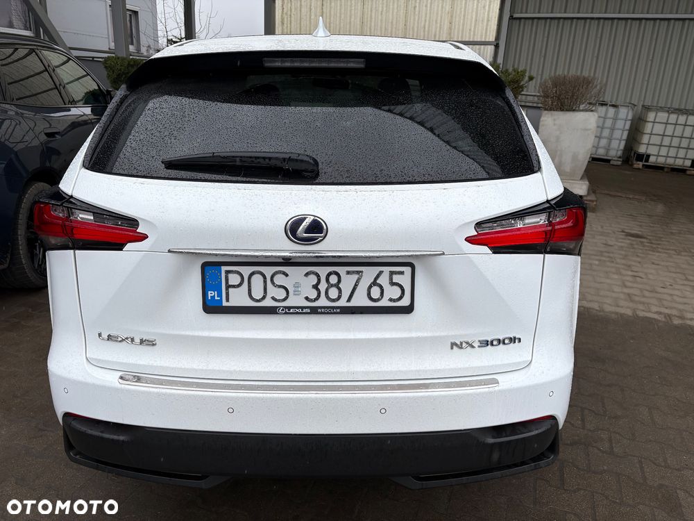 Lexus NX 300h F Sport Edition AWD - 5