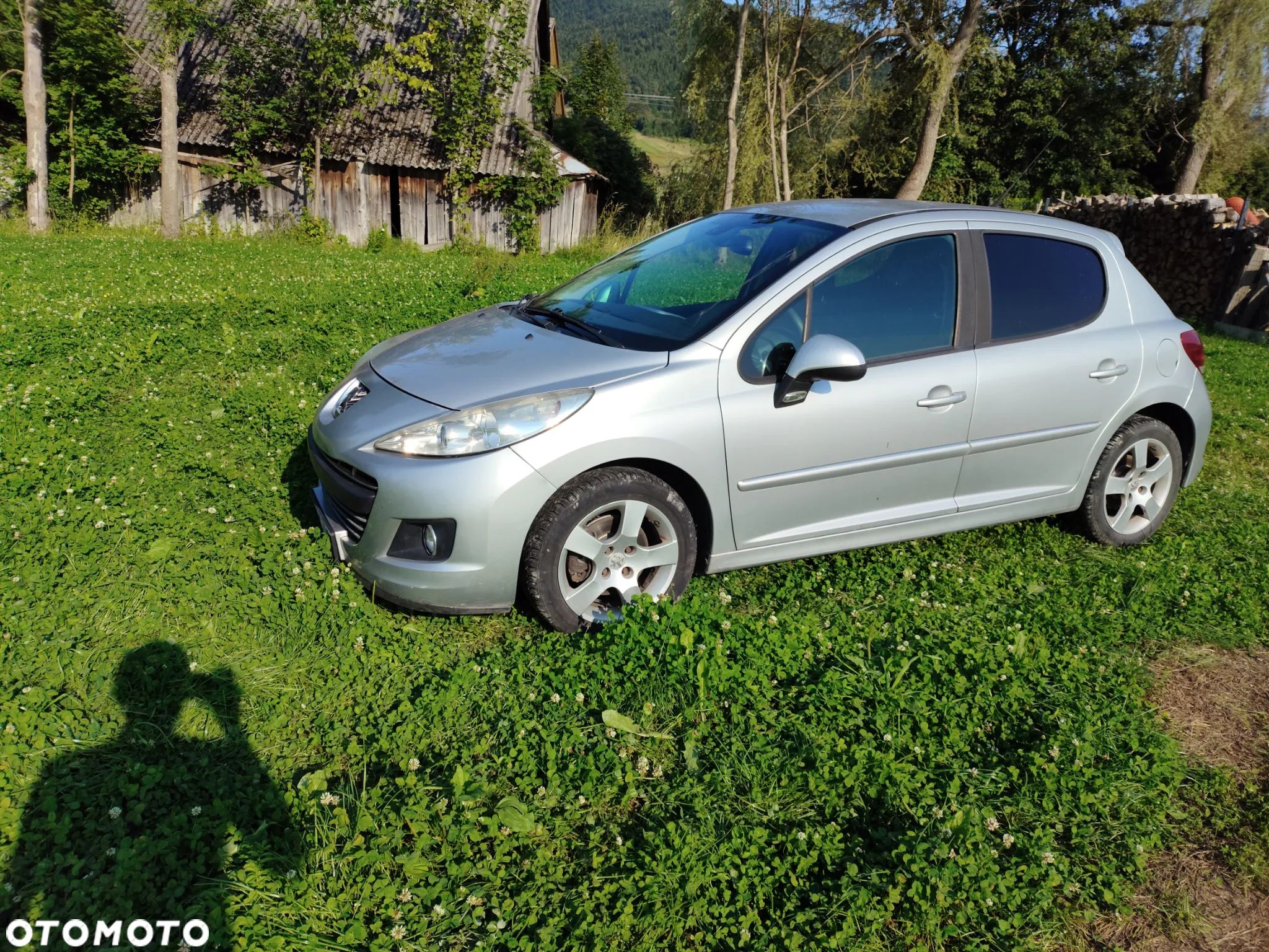 Peugeot 207 - 1