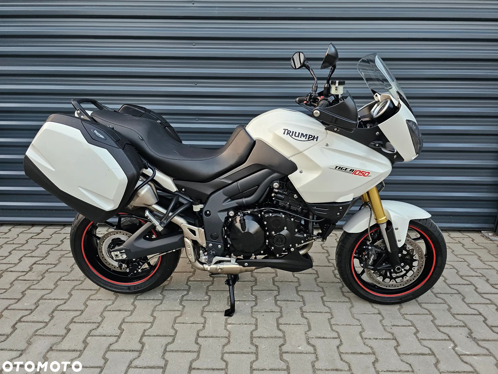 Triumph Tiger - 1