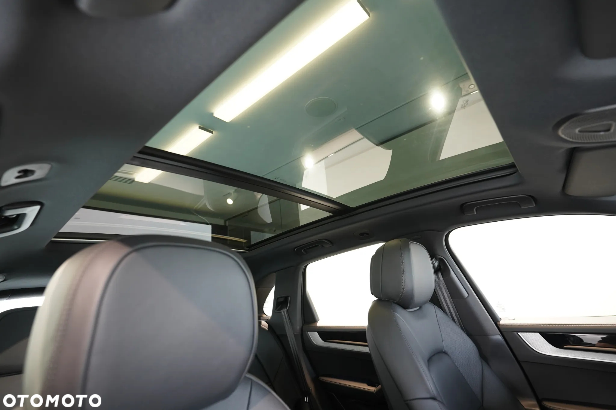 Porsche Cayenne E-Hybrid PHEV - 30