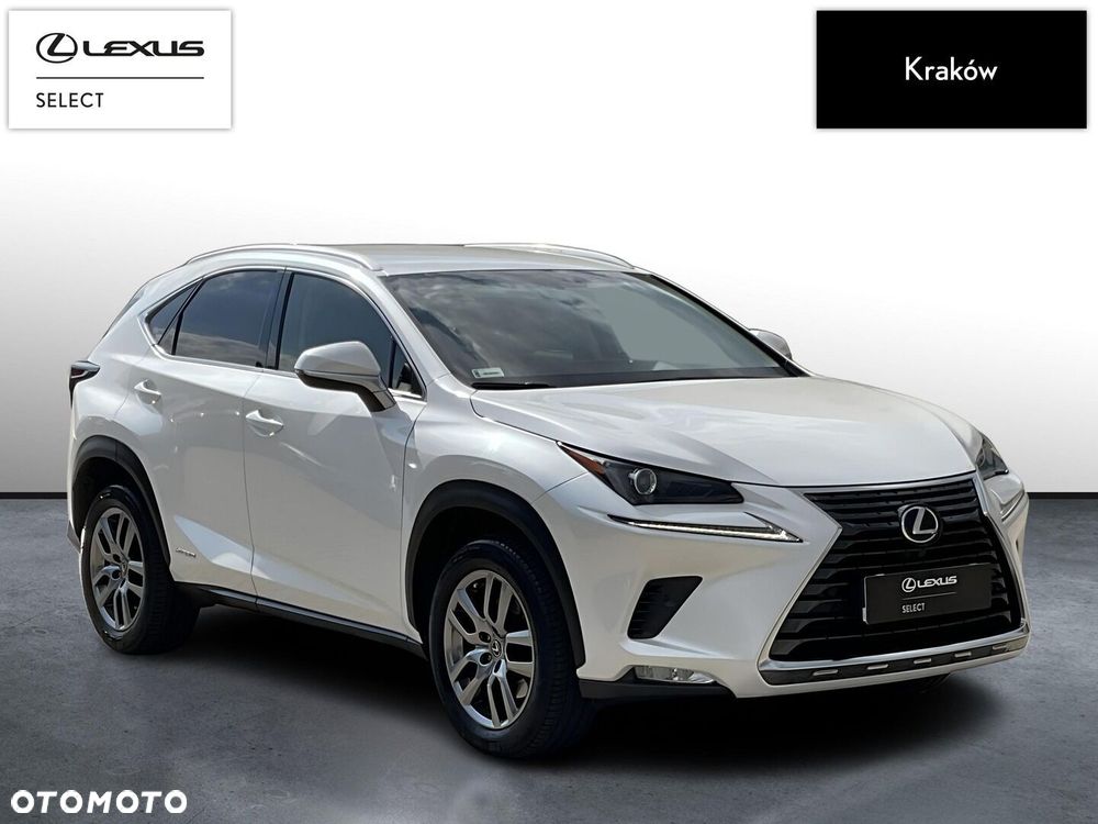 Lexus NX 300h Comfort AWD - 7