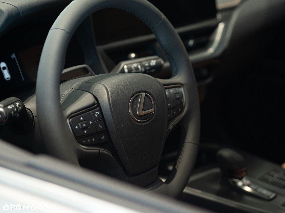 Lexus UX 300h F Sport Design - 6