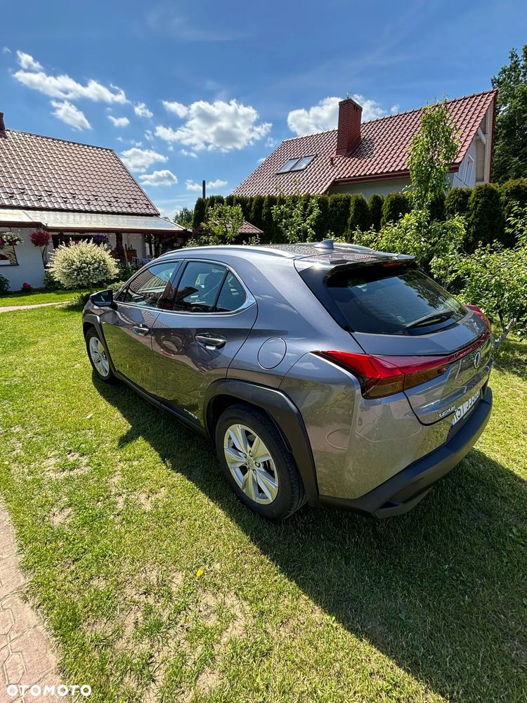 Lexus UX 250h GPF Business Edition 2WD - 3