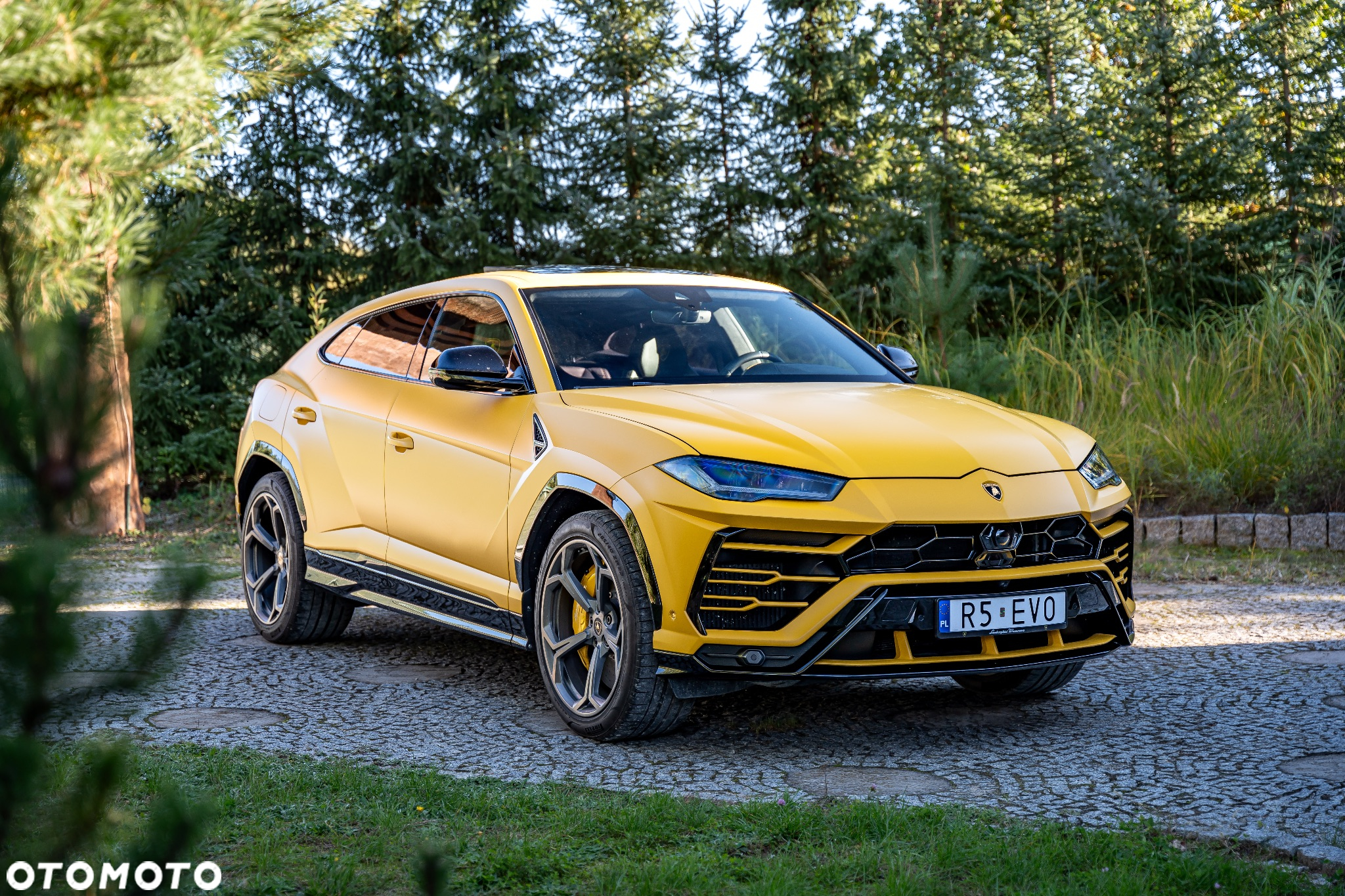 Lamborghini Urus Standard - 6