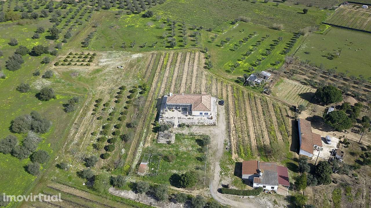 Quinta T4 para venda - Grande imagem: 3/50