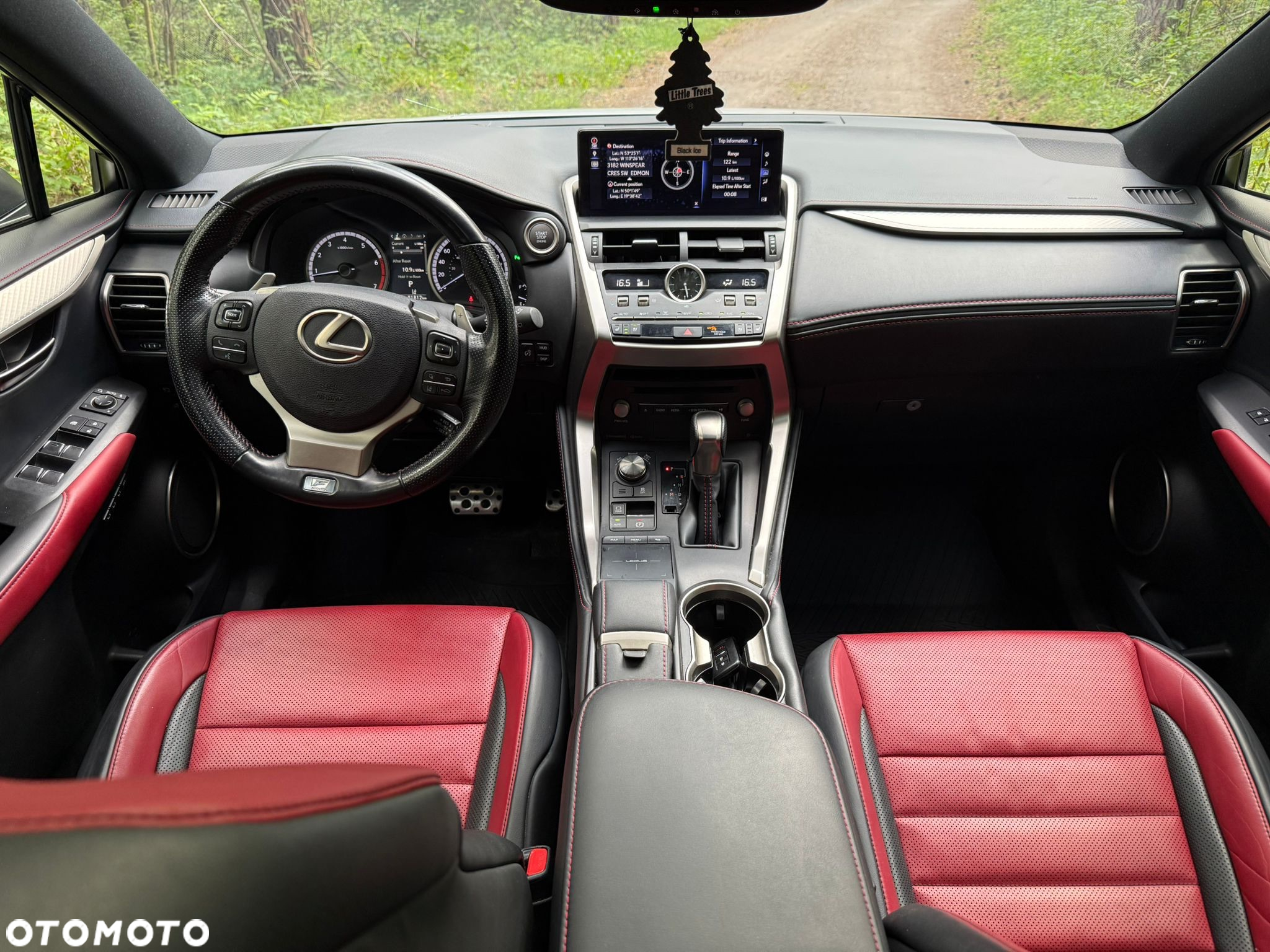 Lexus NX 300 F Sport AWD - 6