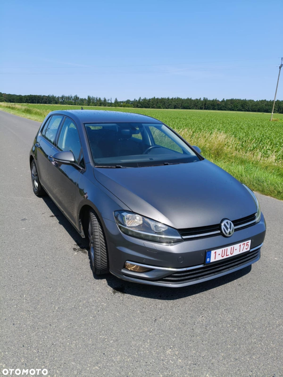 Volkswagen Golf VII 1.6 TDI BMT Comfortline - 12