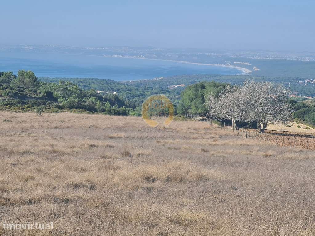 Terreno com 14000 m2 com vista espetacular para o Mar. - Grande imagem: 2/6