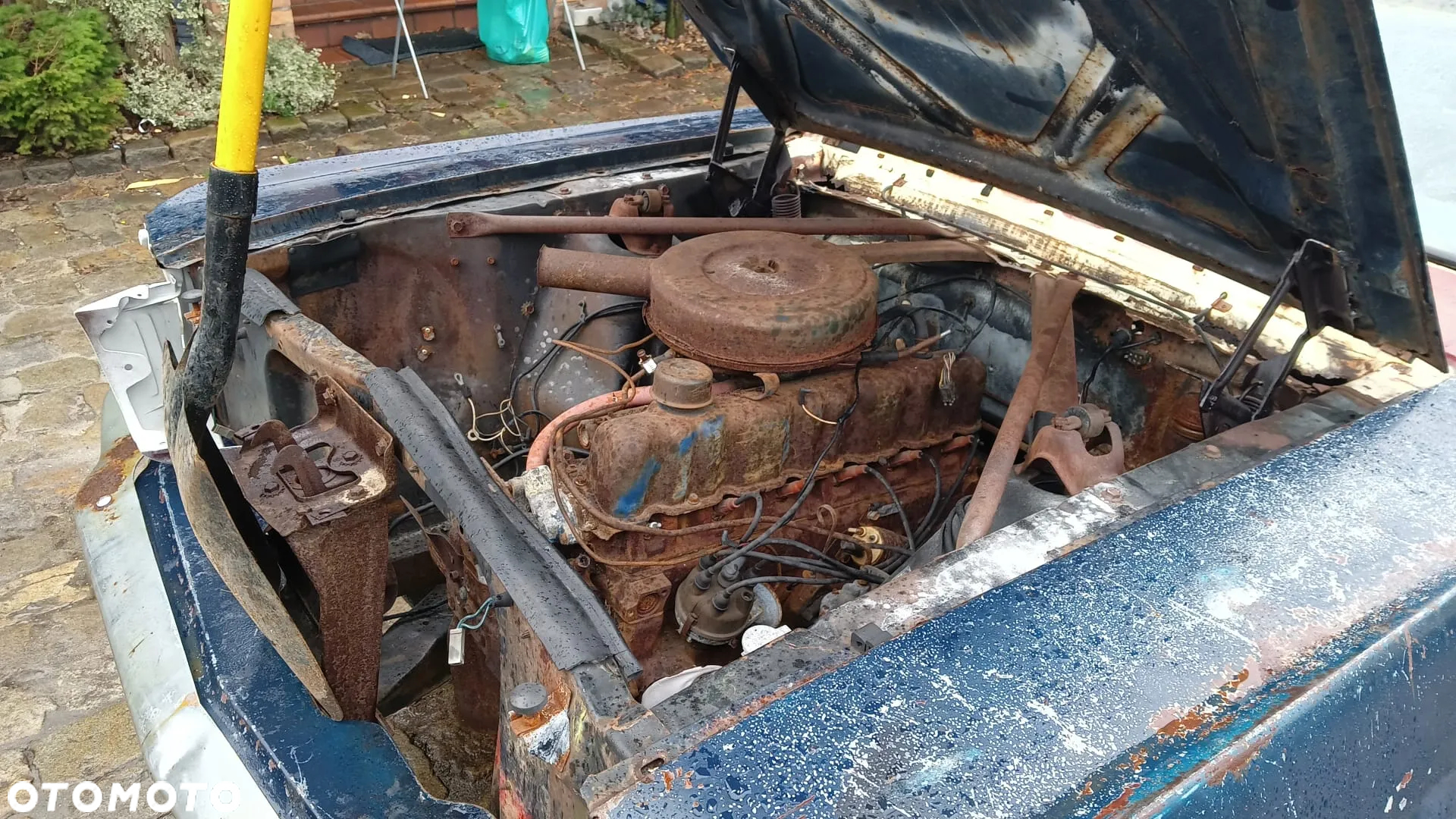 Ford Mustang - 3