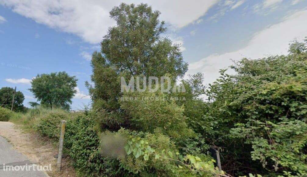 Terreno para construção - Grande imagem: 3/5