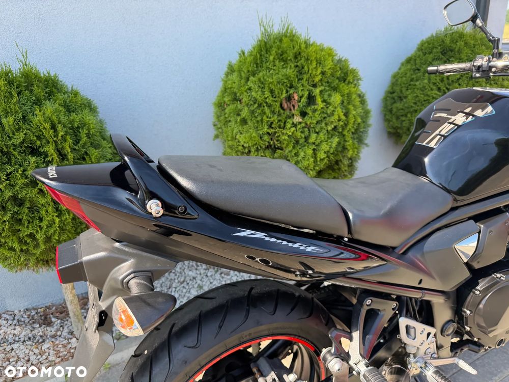 Suzuki Bandit - 15