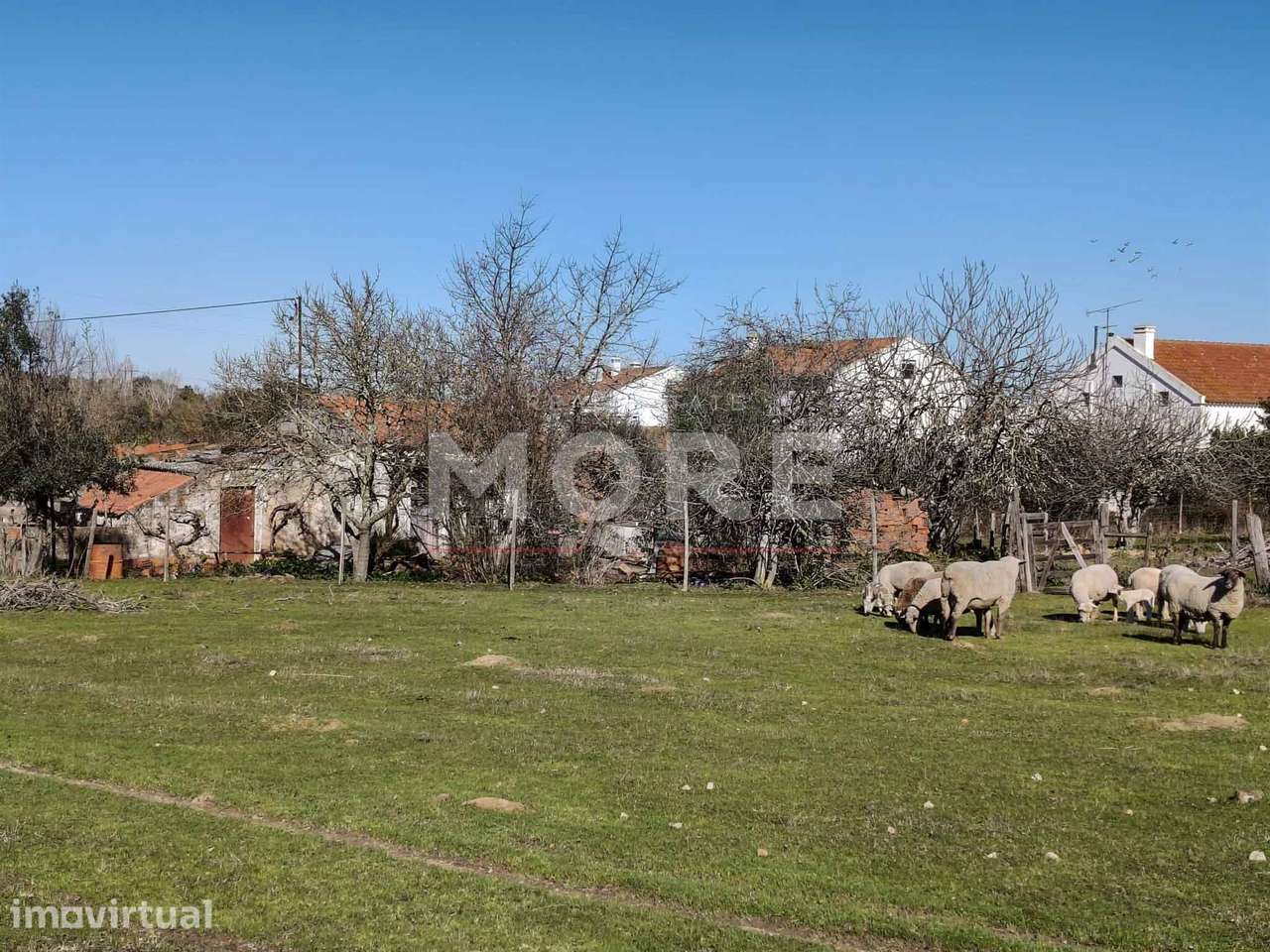 Terreno com 9500 m² – Évora - Grande imagem: 2/26