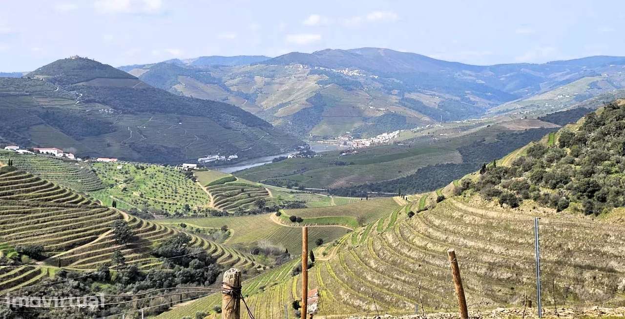 Quinta com 20 Hectares no Douro | Vinha em Produção, Olival e Marca Pr - Grande imagem: 4/20