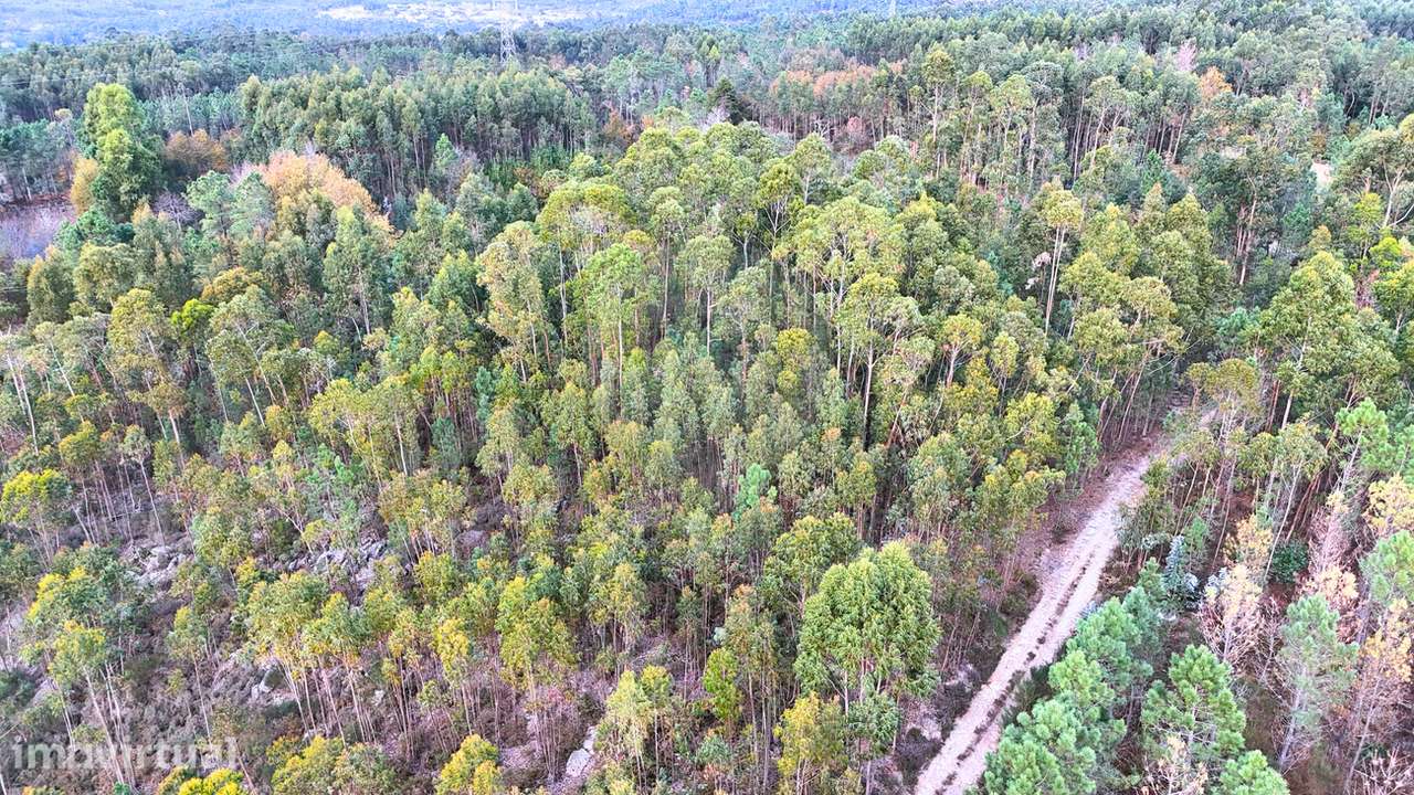 Terreno  para venda - Grande imagem: 2/4