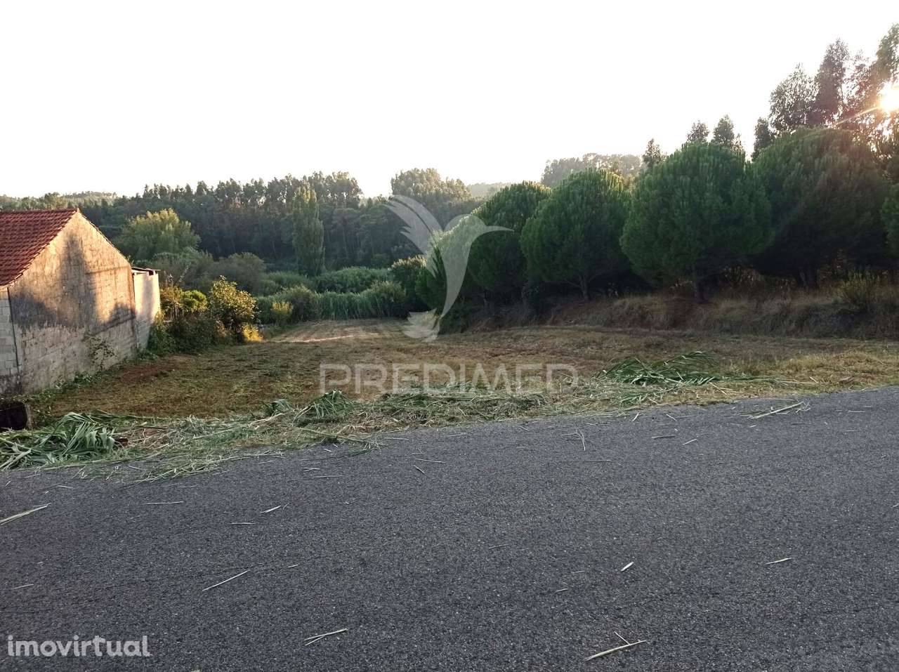 TERRENO ALCOBERTAS - Grande imagem: 2/4