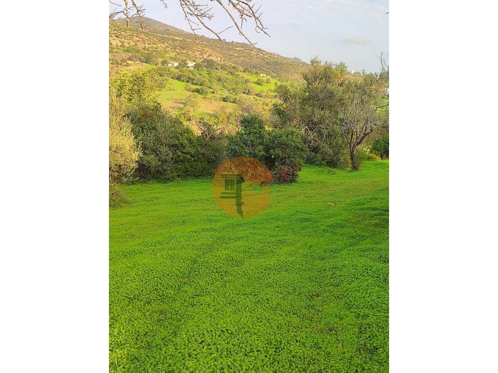 Conjunto de 6 Terrenos com 16.700 m² e Ruína Oportunidade em Estoi,... - Grande imagem: 3/25