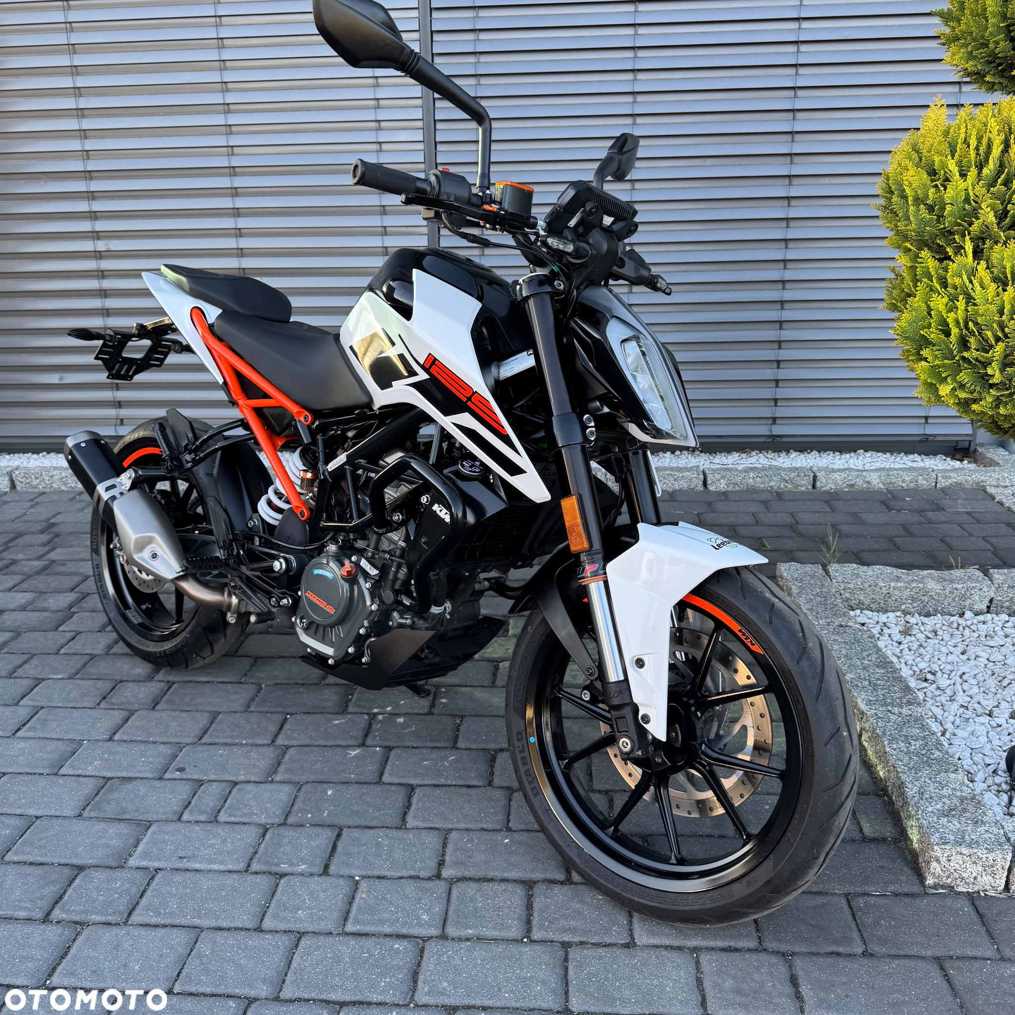 KTM Duke - 5