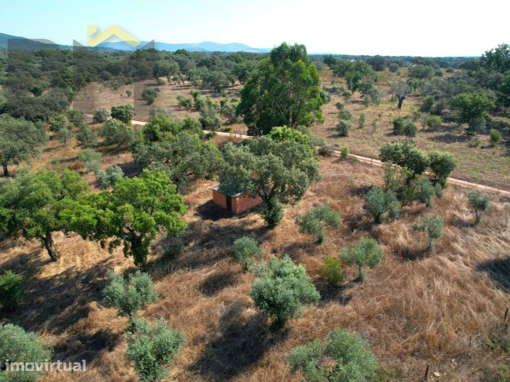 Terreno off-grid com 6500m2 em Toulões, Idanha-a-Nova - Grande imagem: 3/18