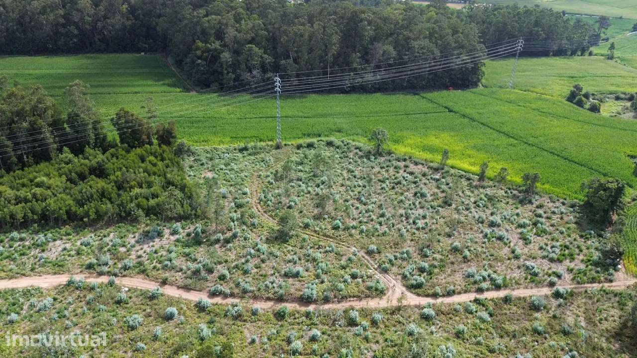 Terreno Urbanizável em Vila do Conde | Uma Oportunidade Única para Inv - Grande imagem: 3/5