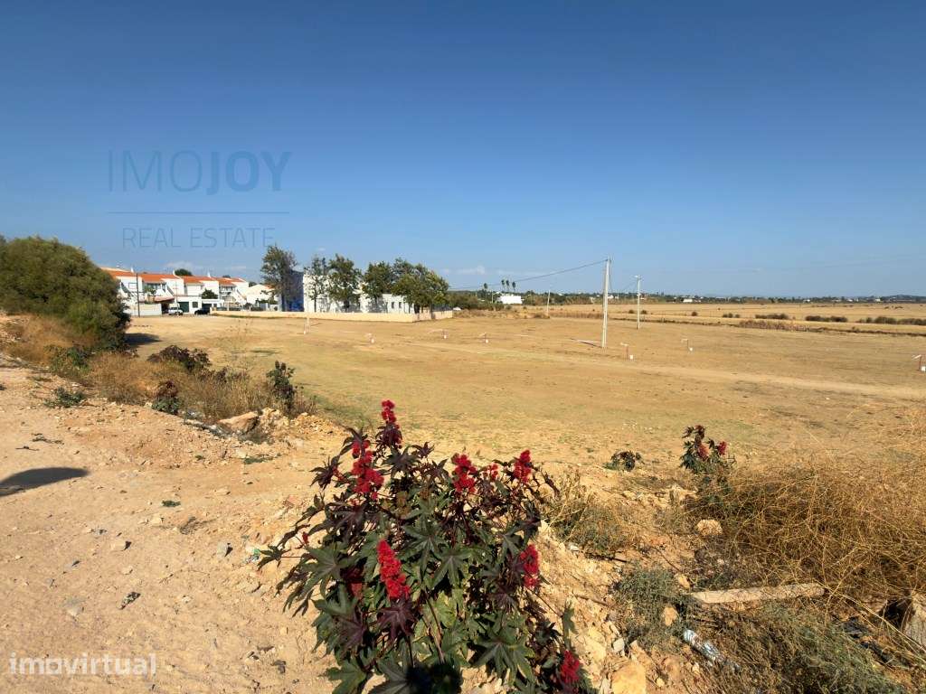 Lote de Terreno Urbano para Venda em Lagoa - Grande imagem: 3/36