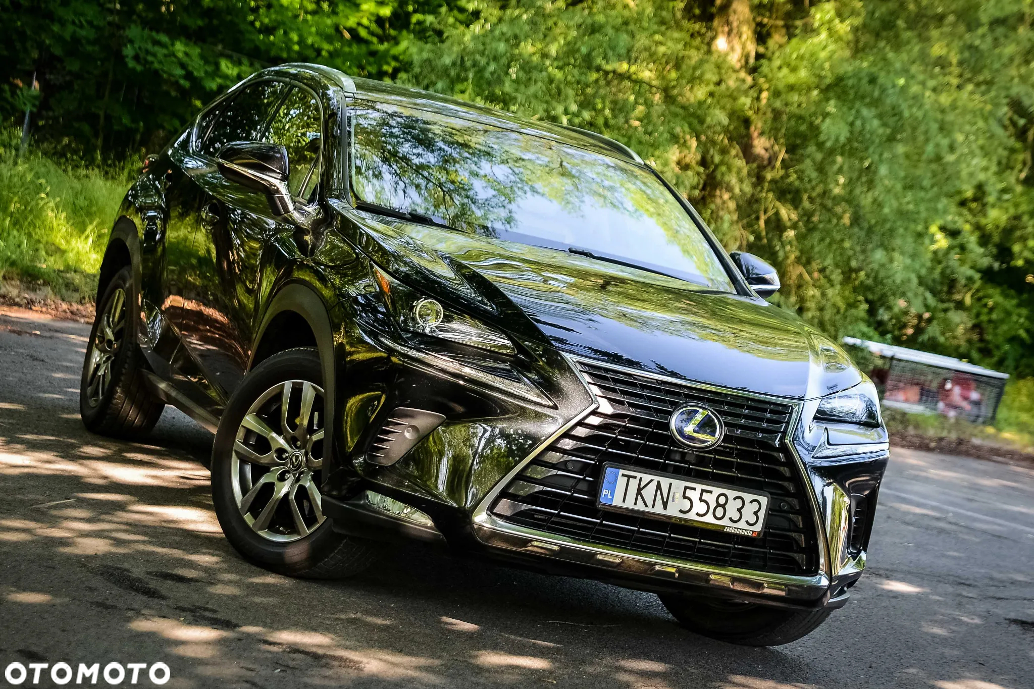 Lexus NX 300h Prestige AWD - 4