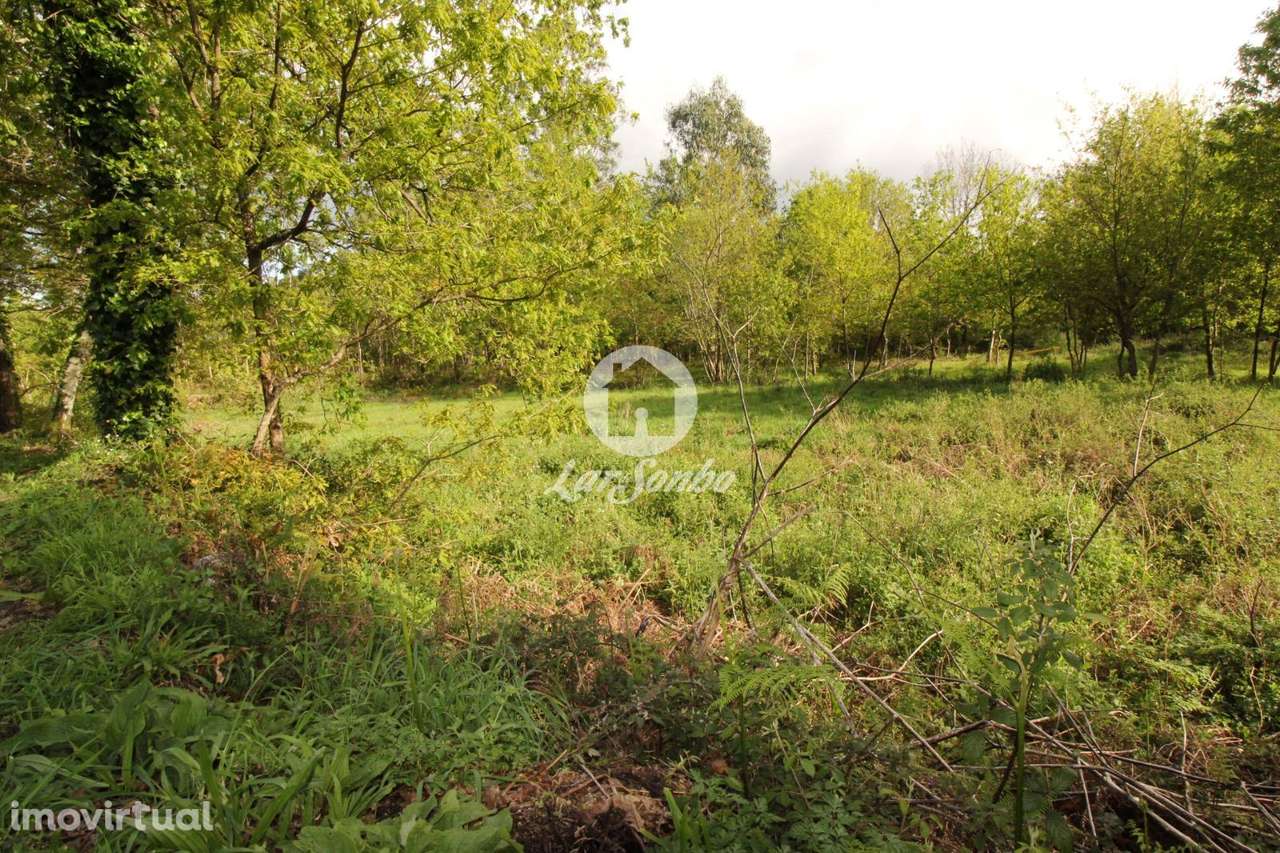 Terreno Moreira do Rei Fafe - Grande imagem: 5/11