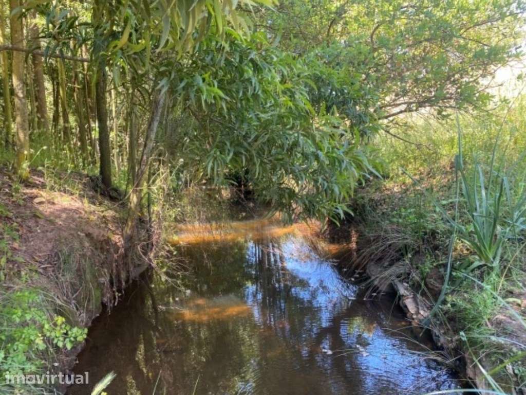 Herdade com moradia para recuperar [ barragem e ribeiro ] - Grande imagem: 5/60