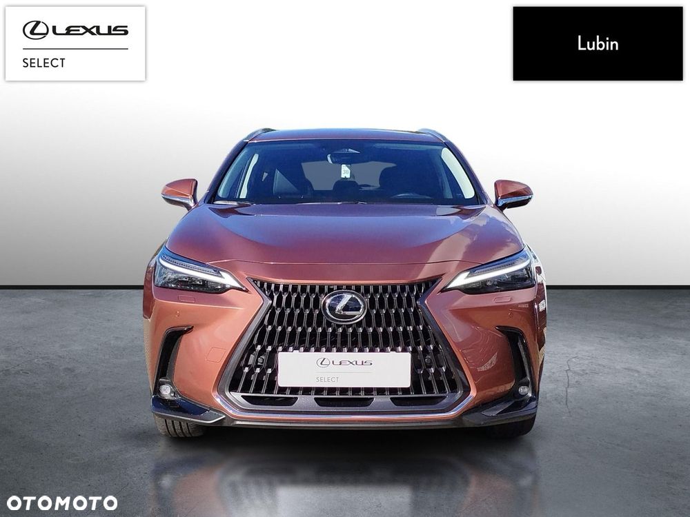 Lexus NX - 8