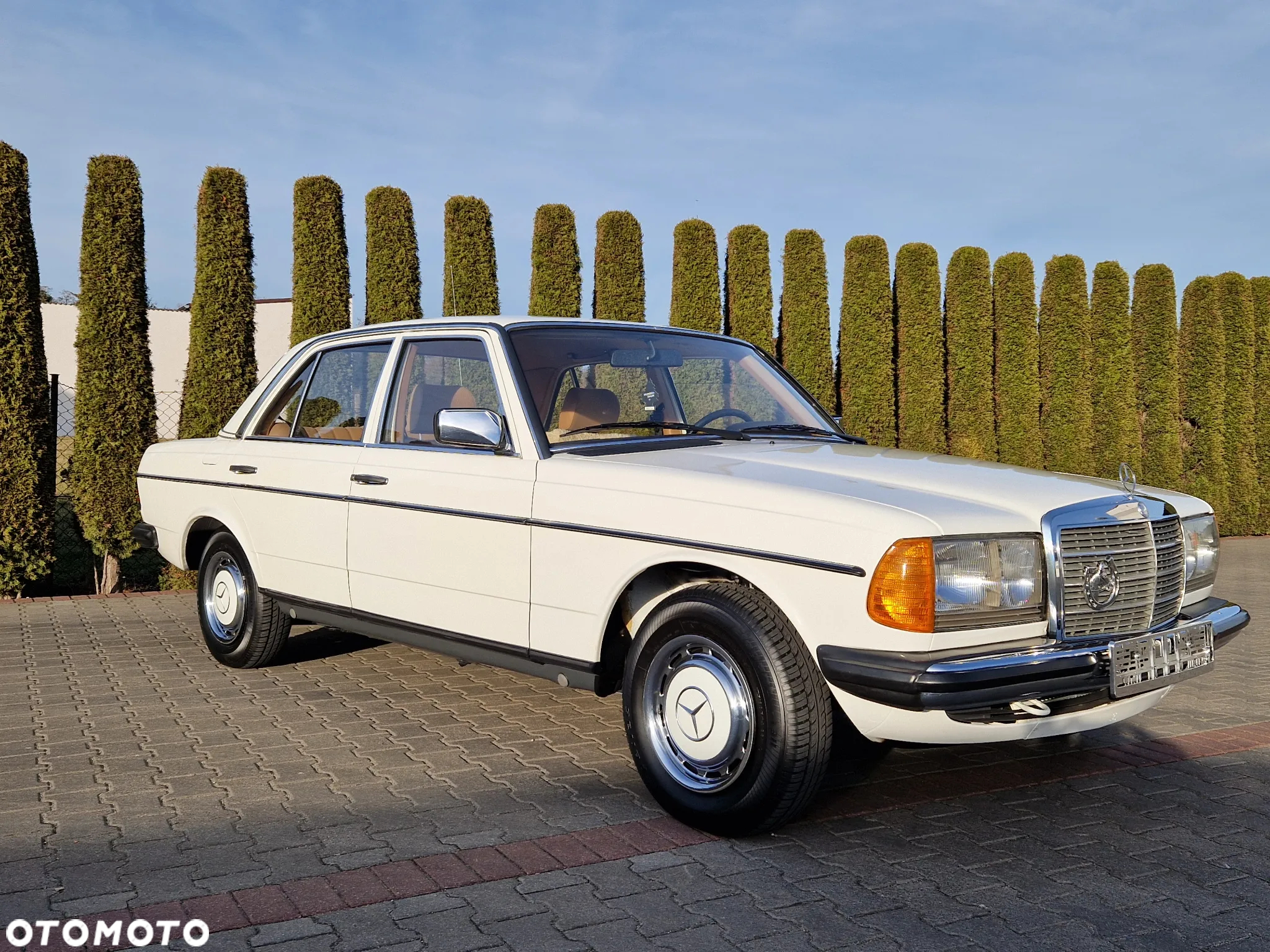Mercedes-Benz W123 - 3